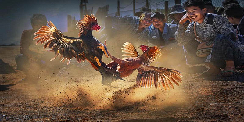 23win04 xổ số bữa nay