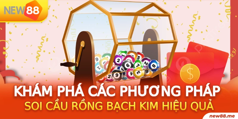 23win04 gà chọi
