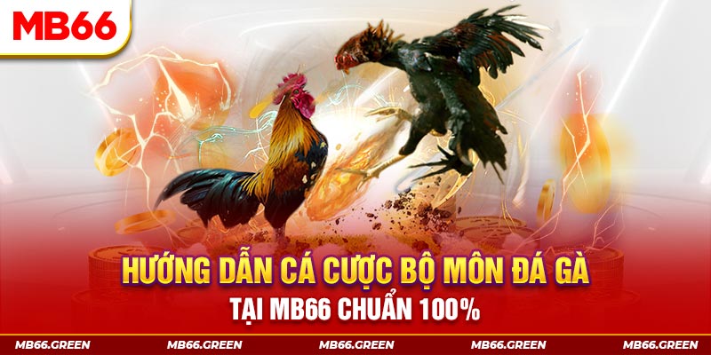 23win04 slot là gi