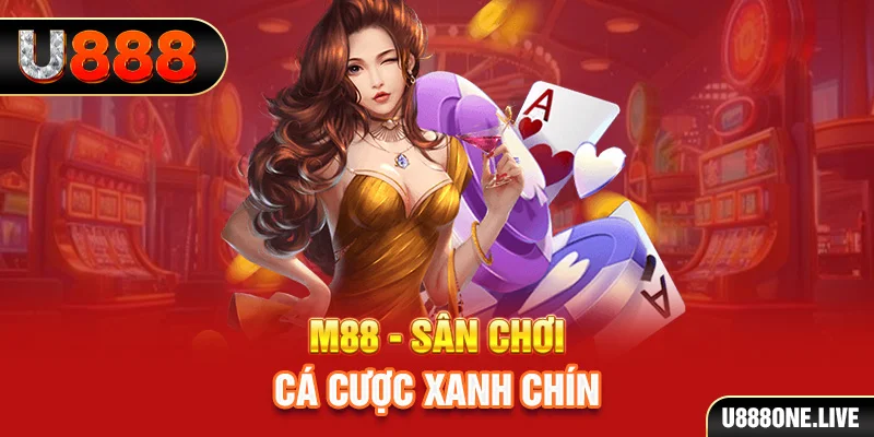 23win04 kết quả xổ số miền trung hôm nay