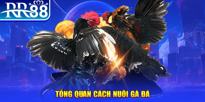 23win04 game nổ hũ rút tiền mặt là gì