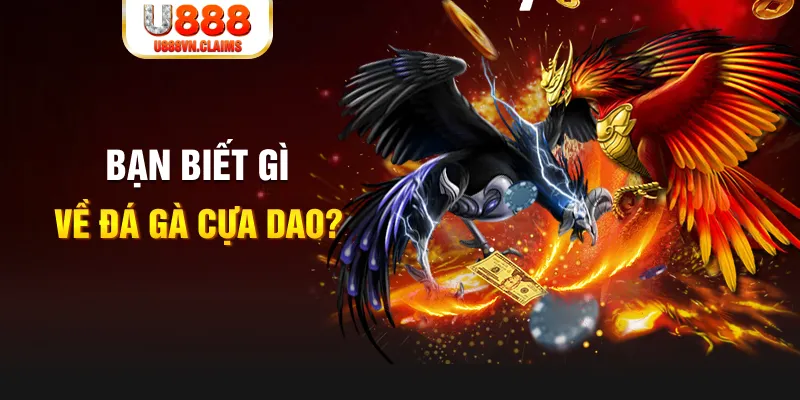 23win04 SW Xổ Số