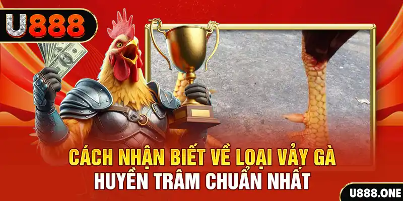 23win04 đăng nhập nổ hũ số 1