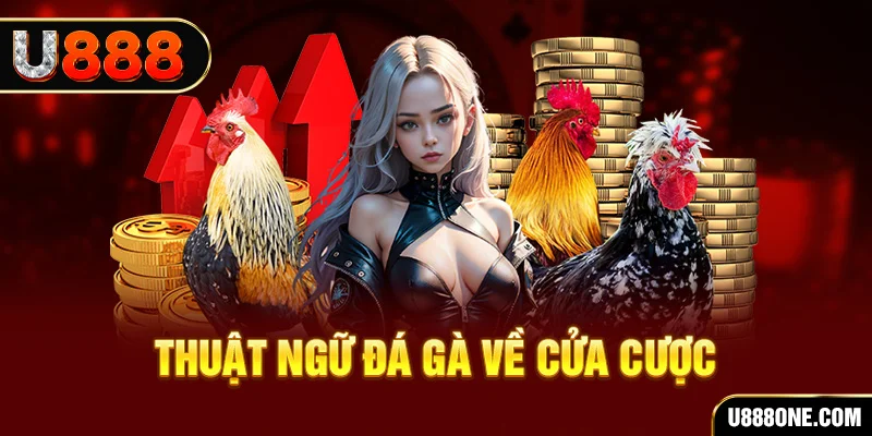 23win04 hơn cả bạn bè