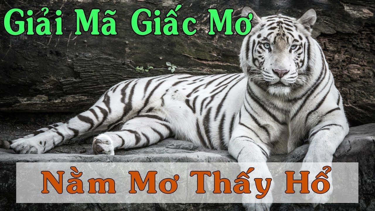 23win04 nổ hũ là game gì