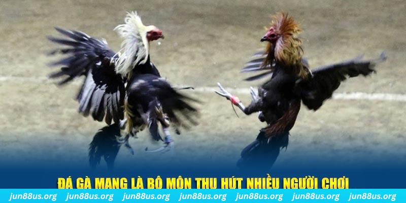 23win04 nổ hủ nghĩa là gì