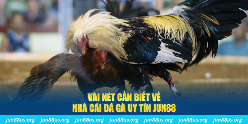 23win04 đăng nhập phỏm khuyến mãi