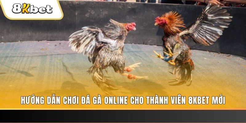 23win04 JILI Game Bài 3d