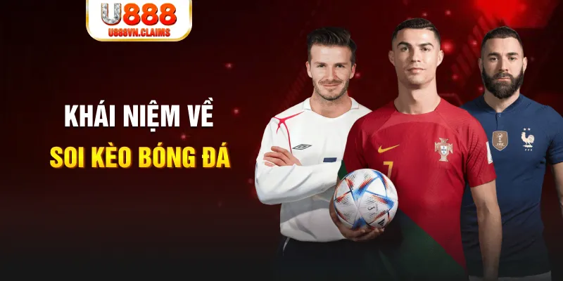 23win04 xổ số cần thơ