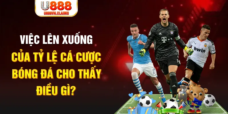 23win04 xổ số tiền giang