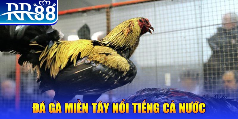 xổ số đại phát
