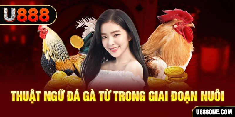 23win04 xổ số miền bắc 90 ngày