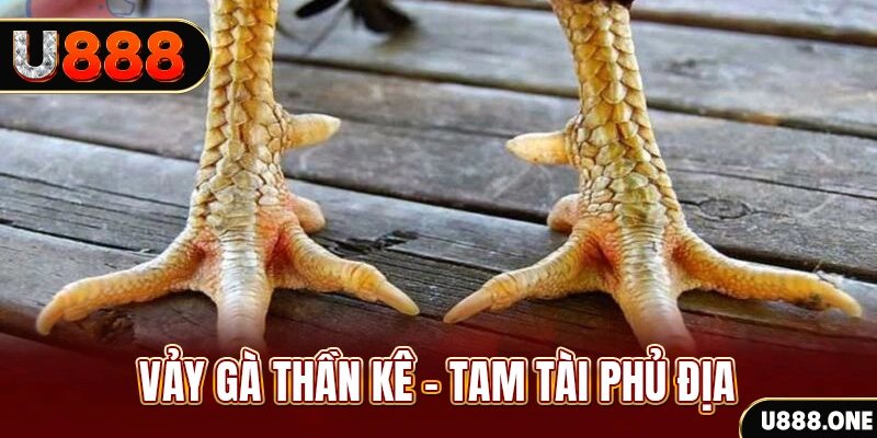 23win04 xổ số miền trung thứ hai hàng tuần