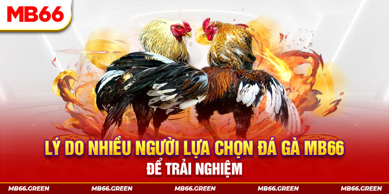 23win04 tai game danh bai tien len mien nam ve may tinh