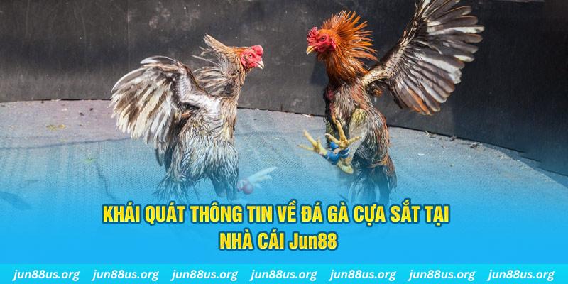 23win04 xổ số miền bắc thứ bảy hàng tuần