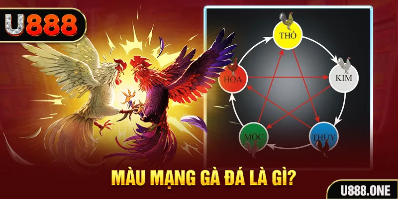 23win04 xổ số miền trung thứ tư hàng tuần