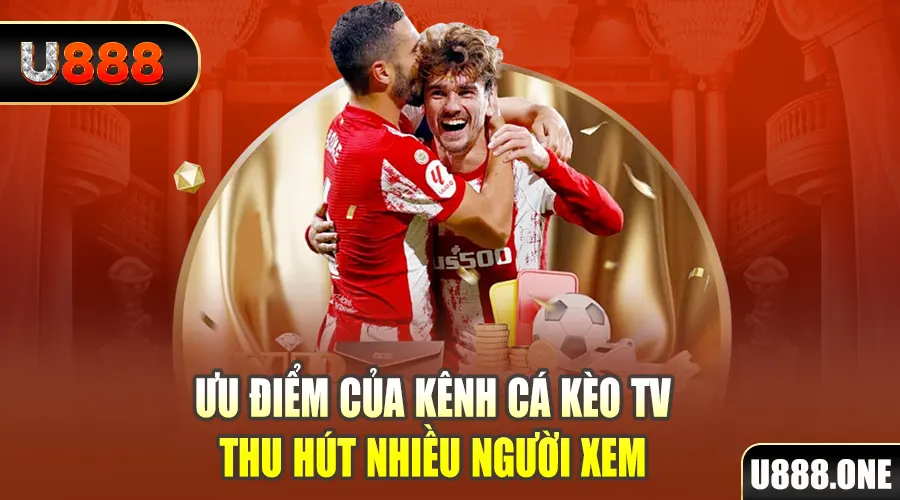 23win04 gà chọi cu cần