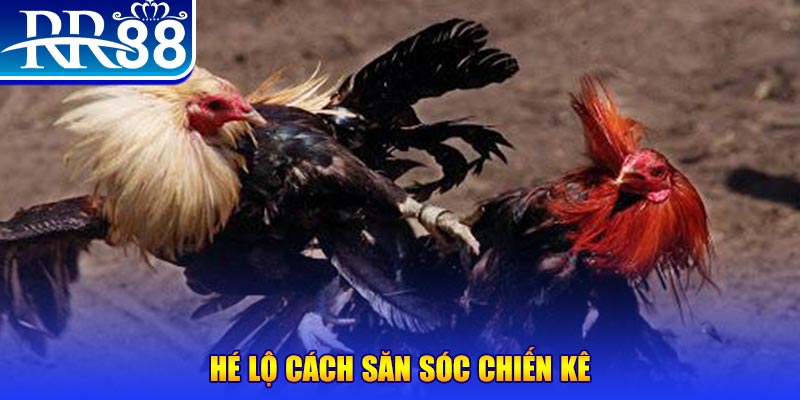 23win04 xổ số miền trung thứ tư
