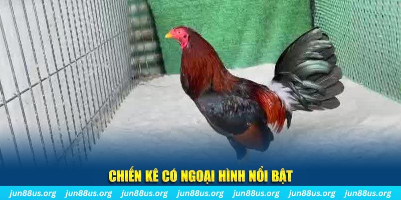23win04 game bắn cá