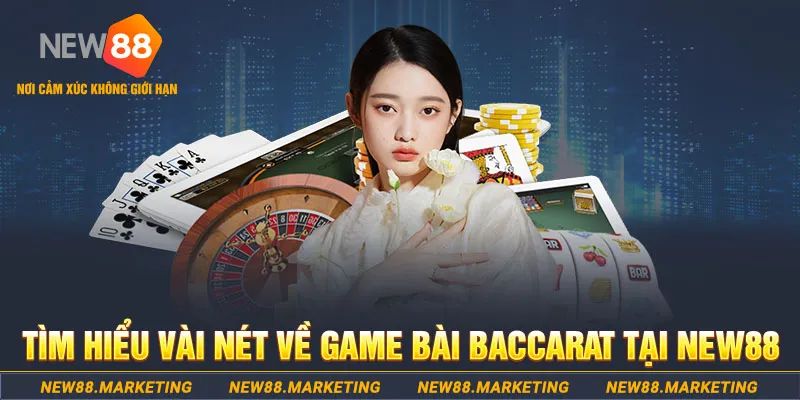 23win04 gà chọi c1 ô taxi