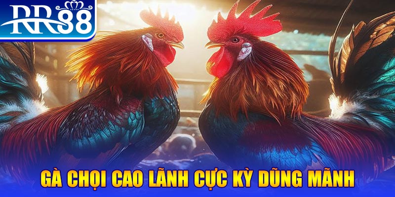 23win04 HB Điện Tử