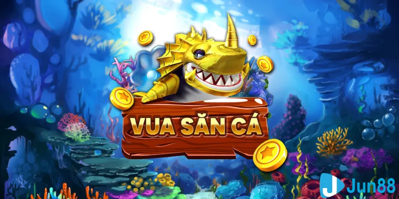 23win04 what is the best online casino