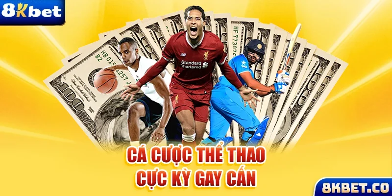 23win04 xem đá gà trực tiếp